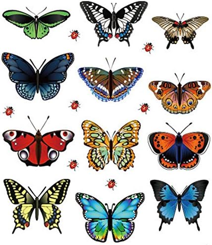 HN Wall Stickers Decal Butterflies 3D Mirror Wall Art Home Decors (Colorfull 1)