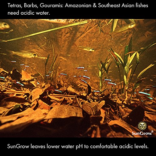 SunGrow Giant Catappa Leaves x 10 pcs - Sun Baked Leaves to Breed Live Aquarium Fish & Shrimp