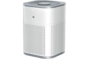 LOYTIO Air Purifiers for home, H13 True HEPA Filter for Home large Room, Air Filter with Sleep Model, 24db Filtration System, 360° Air Intake for Pet Dander Dust Pollen Smoke Allergie