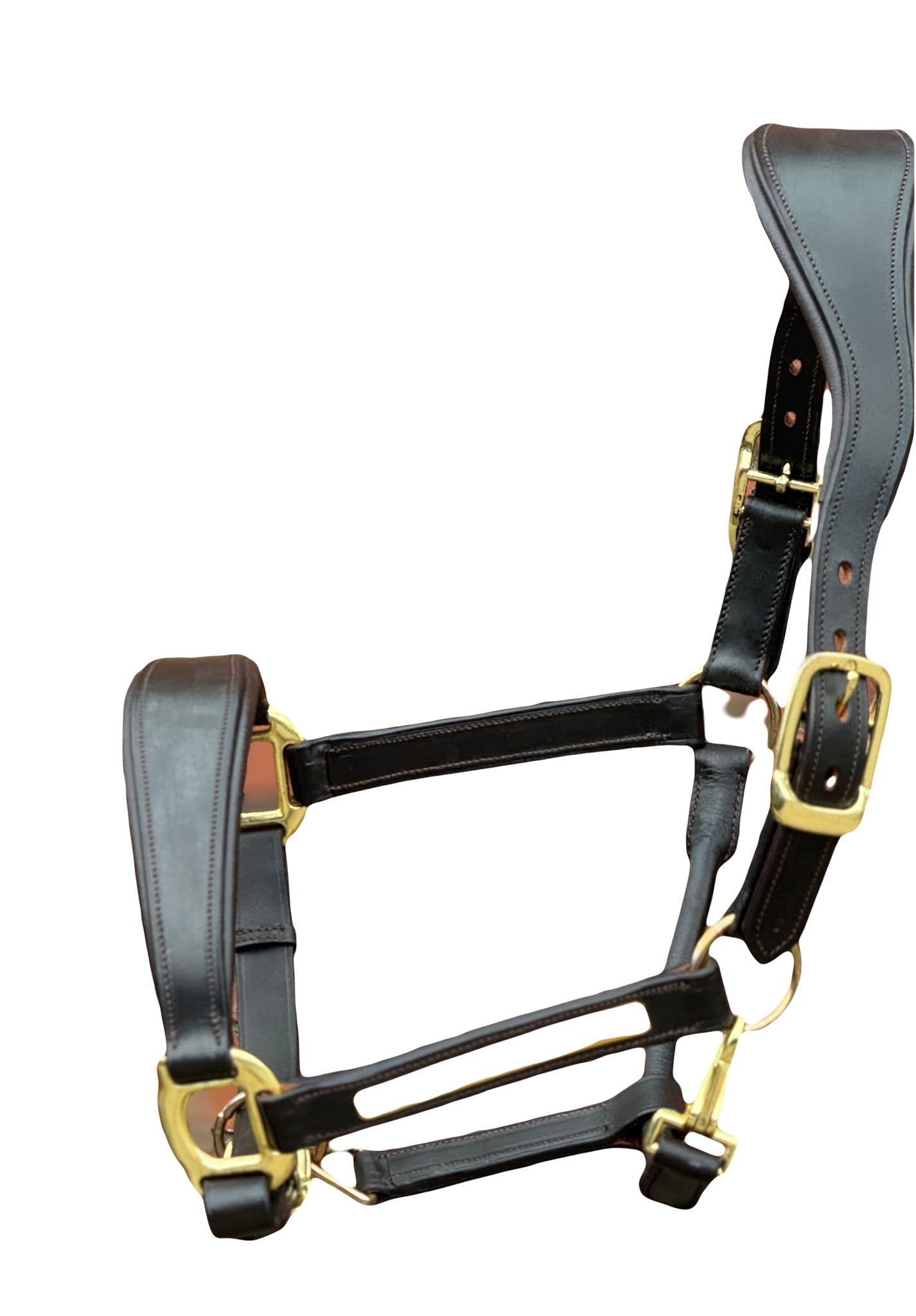 Equipride Anatomical Leather Headcollar, Supersoft Padded, Gold Fittings, Fully Adjustable (Brown, Shetland)