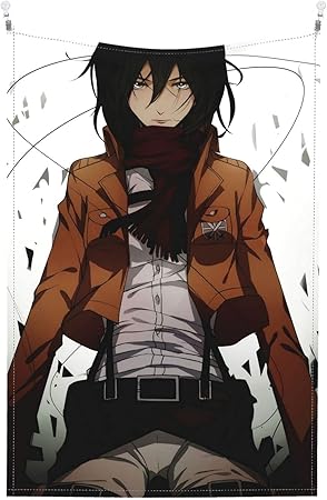 Amazon Co Jp タペストリー 進撃の巨人 ミカサ アッカーマン アニメ インテリア 壁掛け ホック付き ファブリック装飾 部屋 窓カーテン 装飾用品 150x100cm Generic