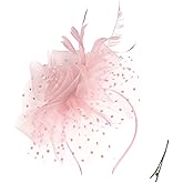 QDC Fascinators for Women Tea Party Headband Hats Cocktail Flower Mesh Feathers Headwear Hair Clip for Wedding