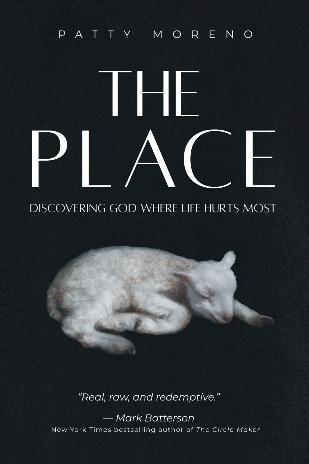 Photo 1 of The Place: Discovering God Where Life Hurts Most