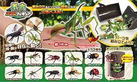 Amazon 超リアル ビッグ 昆虫 パズル フィギュア 全10種 セット 甲虫 ミヤマクワガタ 虫 ムシ カブトムシ クワガタムシ クワガタ トノサマバッタ カマキリ テントウムシ オニヤンマ トンボ 立体パズル おもちゃ