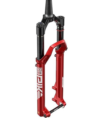 Amazon.com : RockShox Lyrik Select Charger RC Suspension Fork - 29