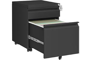 HOMSTEEL 2 Drawers File Cabinet, Metal Filing Cabinet with Lock, Mobile File Cabinet, Fully Assembled Except Casters, for Home Office, for A4, Letter, Legal File Folders, Black