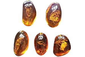 zmgmsmh 5pcs Amber Fossil with Insects Samples Stones Crystal Specimens Home Decorations Collection Oval Pendant (Random Pattern)