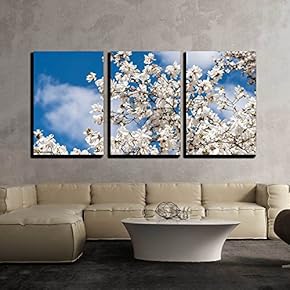 3 Piece Canvas Wall Art - White Magnolia Flowers in Spring - Modern Home Art Stretched and Framed Ready to Hang - 16"x24"x3 Panels