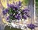 LB DIY Oil Painting, Paint by Number Kits for Kids & Adults -Purple Flower with Green Leaves,Great Mother抯 Day Gift 16''X20''.