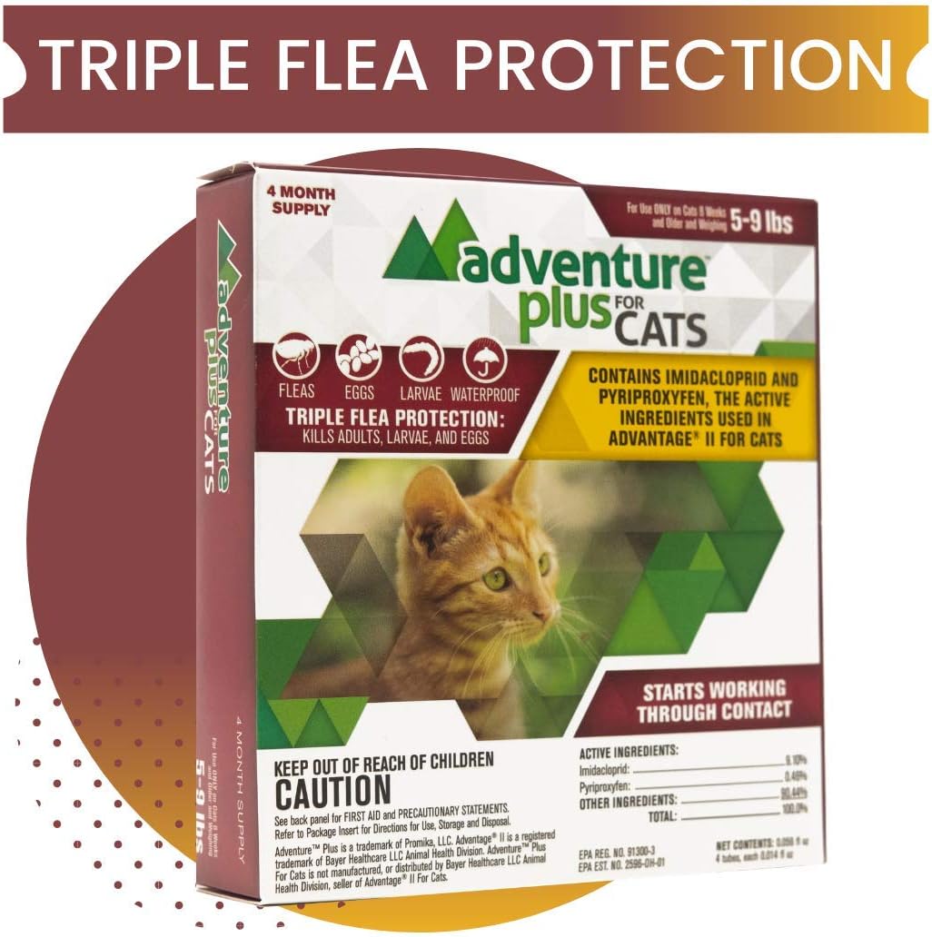 Best Lice Treatment For Carpet