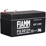 Аккумулятор fiamm fg 20721