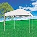 E-Z UP ENV9104WH Portable Instant Sun Shade, 10 x 10, White