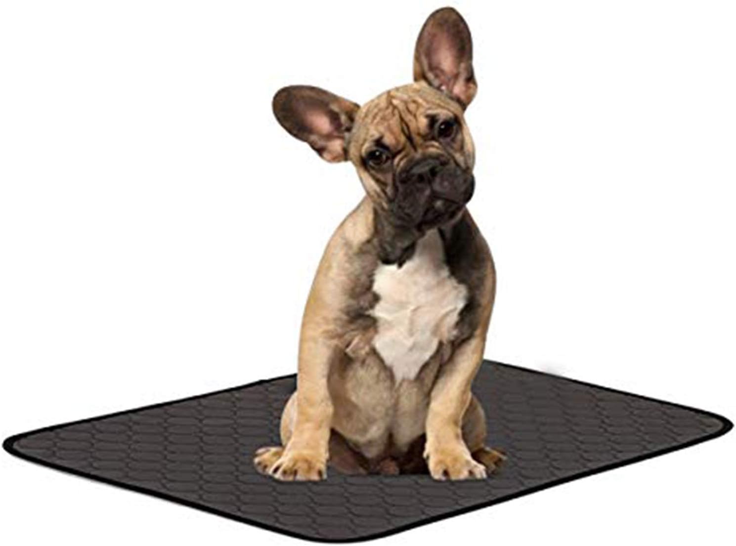 Makerfire Puppy Training Pads Washable Dog Pee Pad Super Fast Absorbent