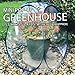 Mini Greenhouse Value Set -- Pack of 3 Small Pop-Up Greenhouse Plant Covers (Indoor, Outdoor) (3 Pack)