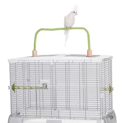 QBLEEV Bird Hemp Rope Perch Swing with Grinding Nigeria Ubuy