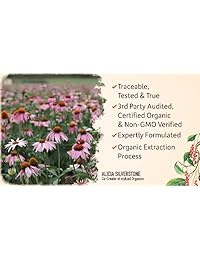 Garden Of Life Mykind Organics - Pastillas veganas de equilibrio diario, 120 unidades