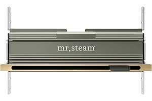 MR. STEAM MrSteam Linear SteamHead, Satin Brass