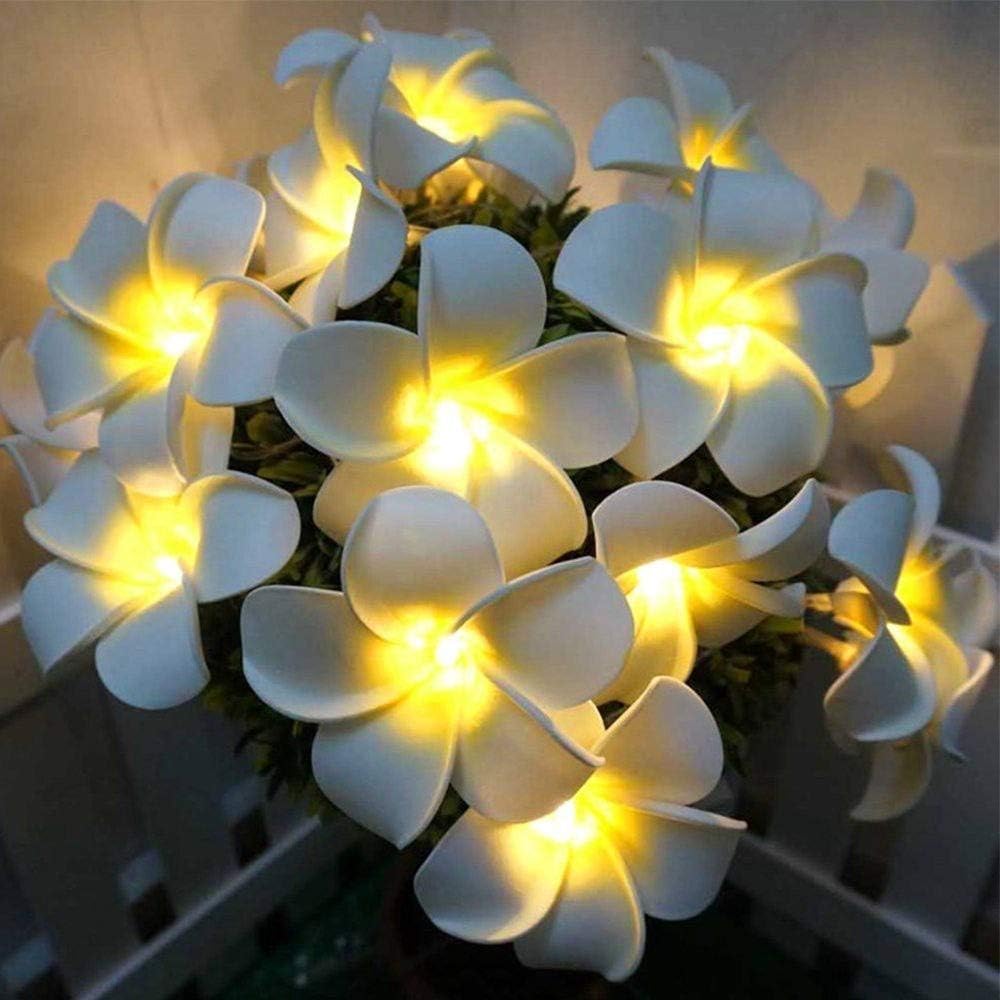Fantes Plumeria String Lights