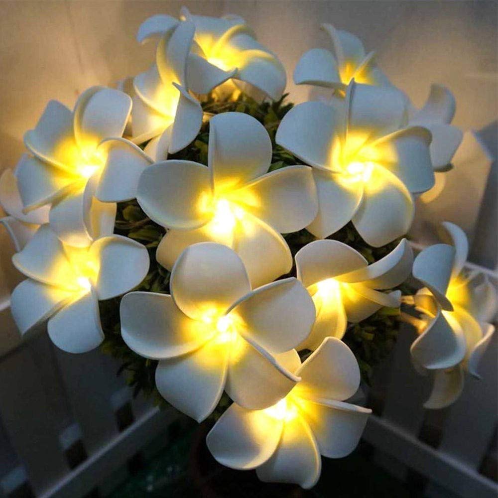 Fantes Plumeria String Lights, Foam Artificial Plumeria Flower Led String Lights Battery Operated Fairy Lights for Bedroom Home Wedding Hawaiian Luau Party Decor (Warm White, 9.8ft 20LED)