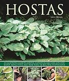 Hostas: An illustrated guide to varieties, cultivation and care, with step-by-step instructions and more than 130 beautiful photographs by 