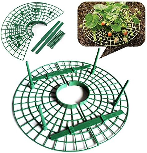 Samoda - Bandeja de flores para plantar fresas (plástico): Amazon ...