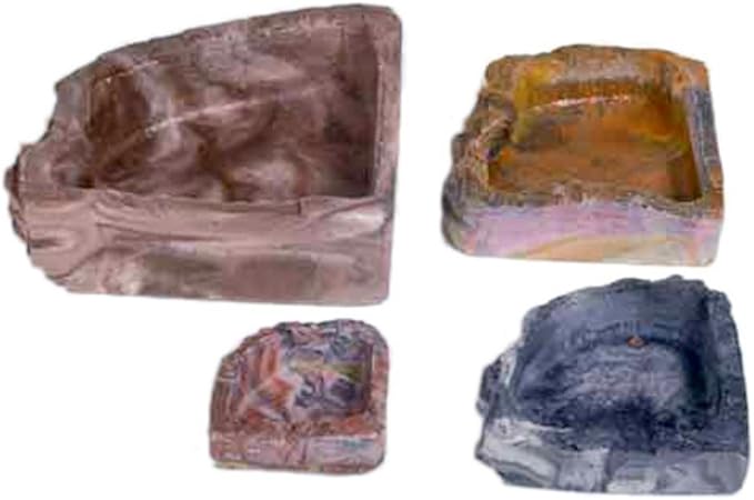 reptile corner water dish