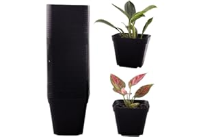 TULPEED 50 Packs Square Nursery Pots for Plants 4 Inch Succulent Plant Pots Set Plastic Seedling Starting Pots with Drainage Holes Nursery Pots Variety Pack Flower pots Planter Seed Starter, Black