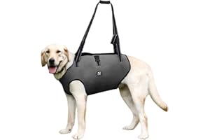 Coodeo Dog Lift Harness, Pet Support & Rehabilitation Sling Lift Adjustable Padded Breathable Straps for Old, Disabled, Joint Injuries, Arthritis, Loss of Stability Dogs Walk (Grey, 2XL)