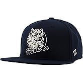 ZHATS NCAA Unisex-Adult NCAA Officially Licensed Adjustable Hat Z11 Vault