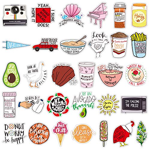 100pcs Fresh Vine Stickers with Trend Funny Humor Words, Vinyl Meme Sticker and Decal Pack for Hydro Flasks Water Bottles Laptop Computer Phones MacBook (Vine Stickers)