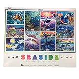 Ceaco 10-in-1 Multi-Pack Seaside Jigsaw Puzzle