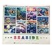 Ceaco 10-in-1 Multi-Pack Seaside Jigsaw Puzzle