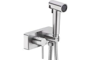 HOMYEP Brass Handheld Bidet Sprayer Attachment for Toilet, 4-Inch Through-Wall or Vanity Mount Hot and Cold RV Camper Shower Valve Outdoor Faucet, Brushed Nickel