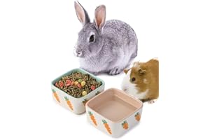 JanYoo Hamster Food Bowl Guinea Pig Feeder Ceramic for Cage with Water Supplies and Accessories for Bunny Blue Pink (2 Pack)