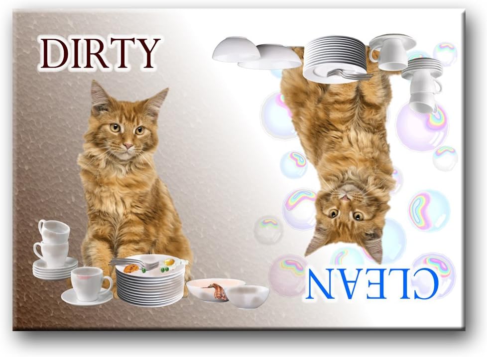 Best dishwasher magnet clean dirty cat