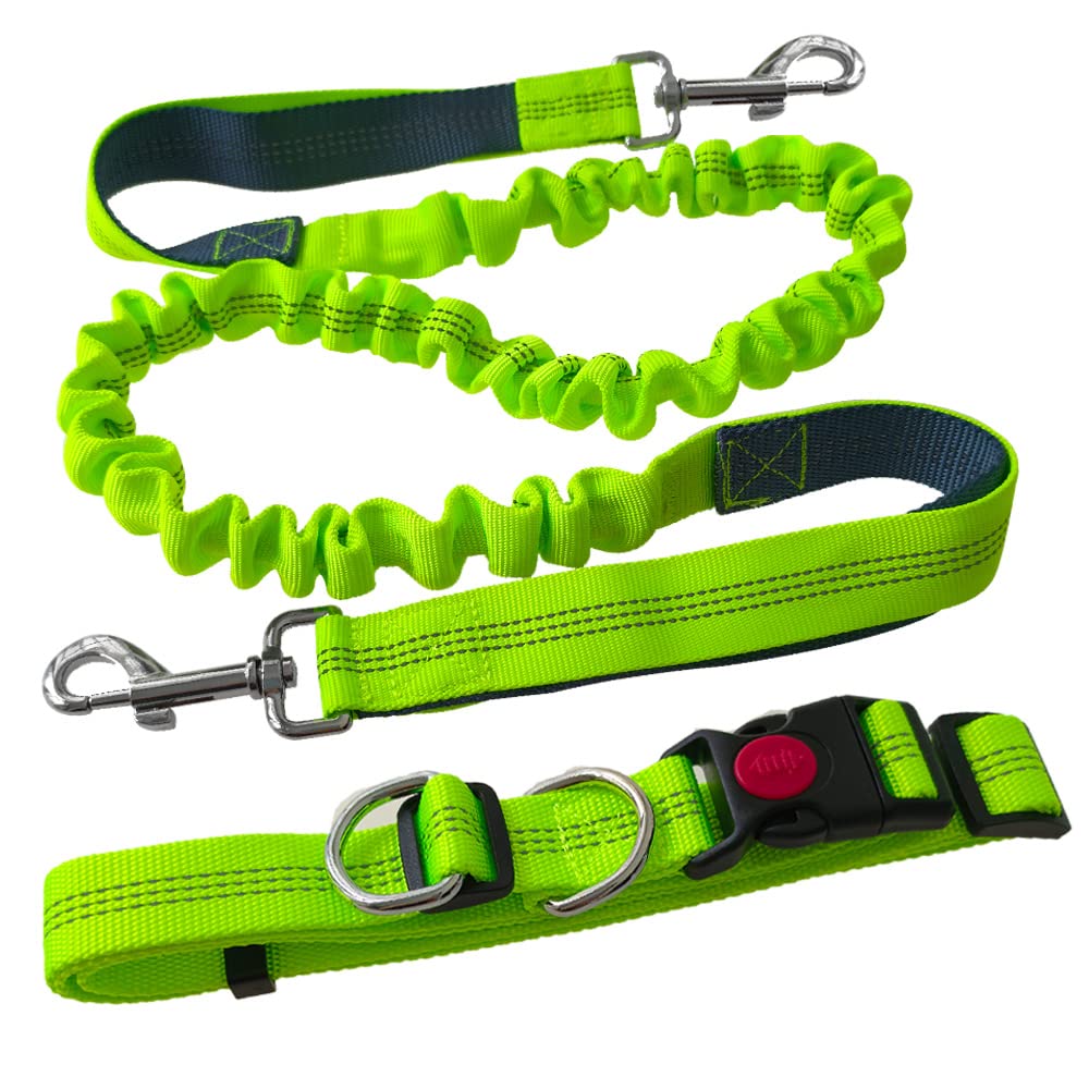 Aiqeer Green Hands Free Dog Lead, Adjustable Belt and Retractable Elastic Leash, Dog Jogging Lead with Reflective Stitching (Grey Handle)