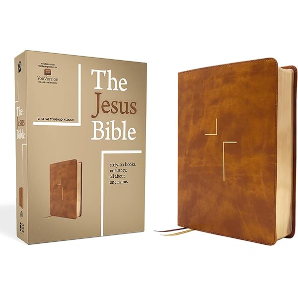 The Jesus Bible, ESV Edition, Leathersoft, Stone: Zondervan