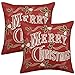 GRELUCGO Set of 2 Embroidered Christmas Holiday Throw Pillow Case Cover, Decorative Sofa Cushion Covers, Square 18 x18 Inch