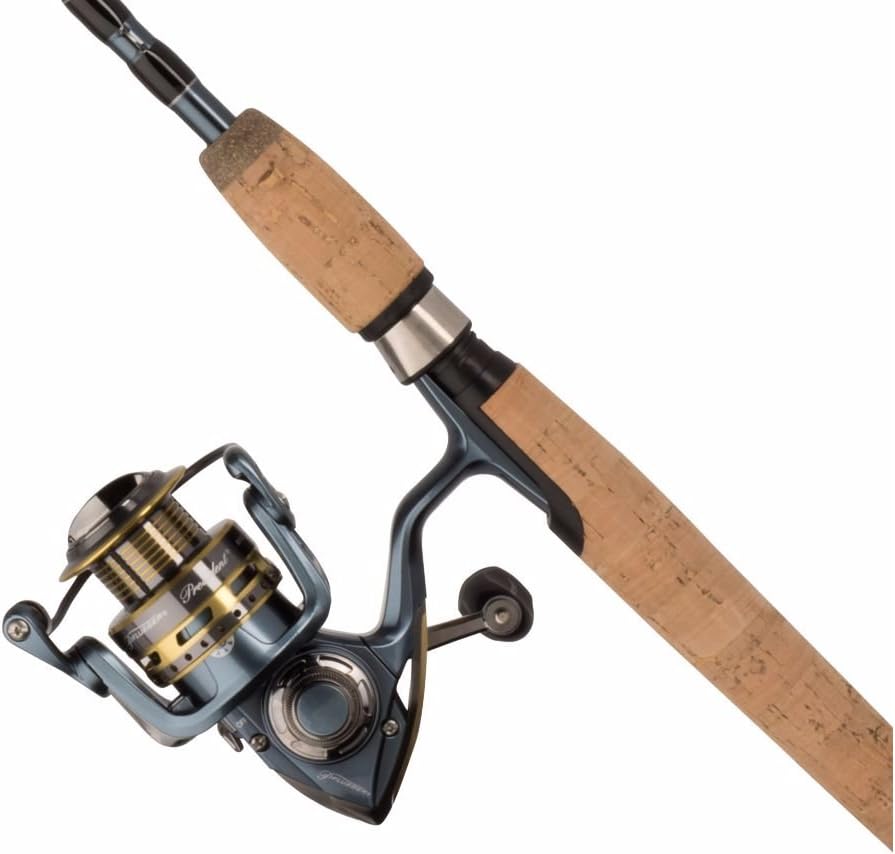 Pflueger President Spinning Reel and Fishing Rod Combo: Sports & Outdoors