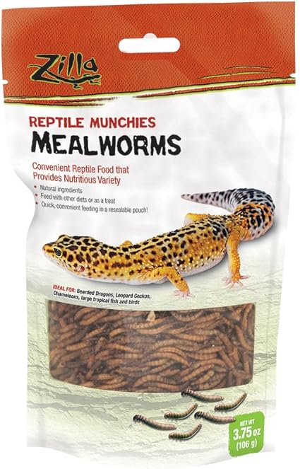 leopard gecko supplies