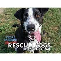 Amazon.com: Rescue Dog Calendar 2024 Wall Monthly Calander Helping Dogs In Need Dog Lovers Gift 12 Month : Office Products