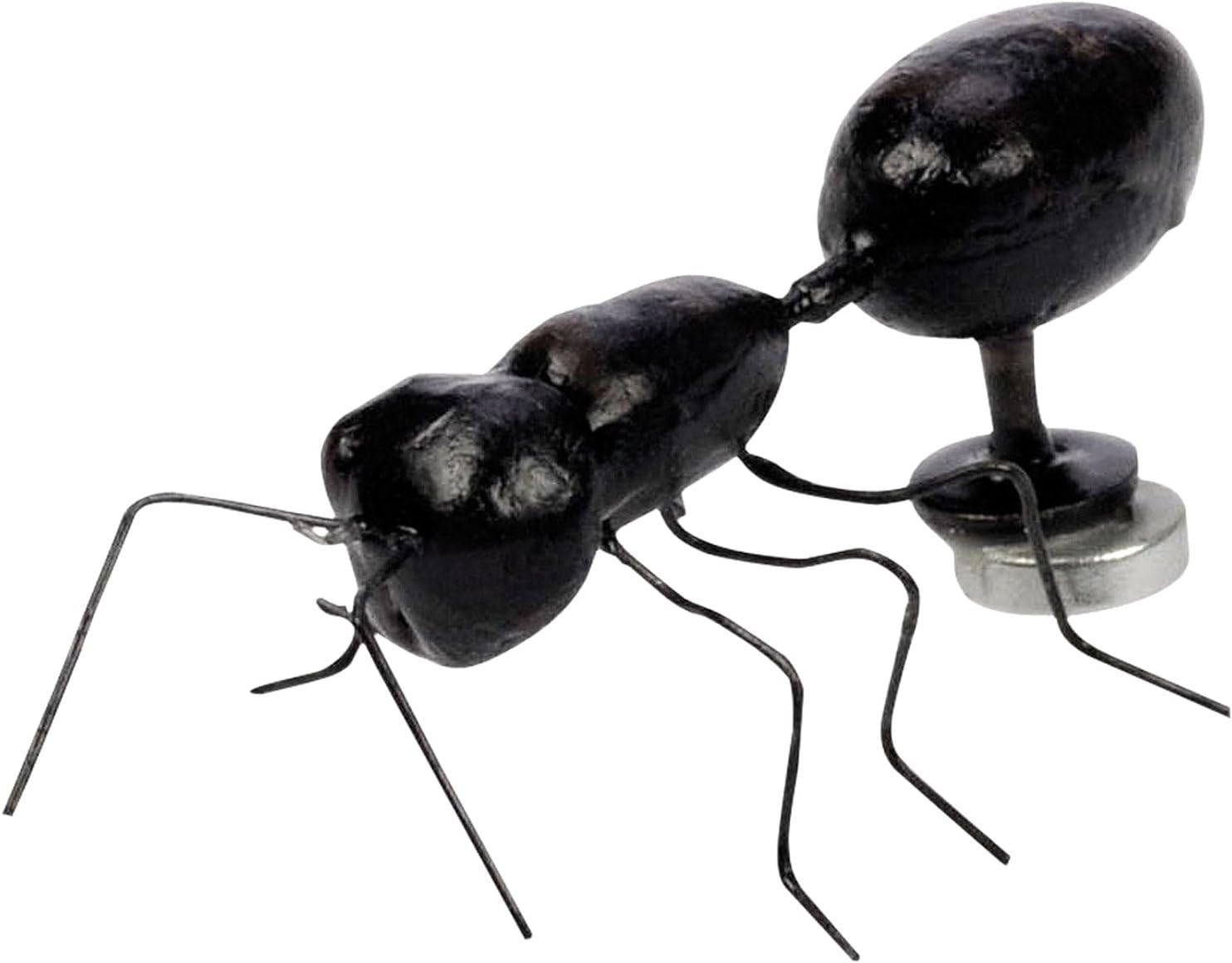 Blue Bug Magnet, Ant in tub