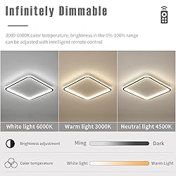 Modern Ceiling Lights，23.6 Inch Flush Mount