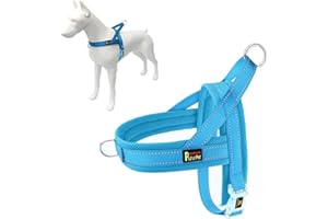 Plutus Pet No Pull Dog Harness with Breathable Mesh Padded, Adjustable Reflective Escape Proof Dog Harness, Quick Fit Dog Vest Harness for Small Medium Large Dogs(L, Cyan)