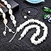 Valyria Shell Choker Necklace for Women Adjustable Puka Chips Shell Surfer Choker Necklace Jewelry Set Cord Necklace