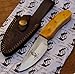 Limited Edition Bone Collector Hand Made Skinning-Hunting Knife [BC853]