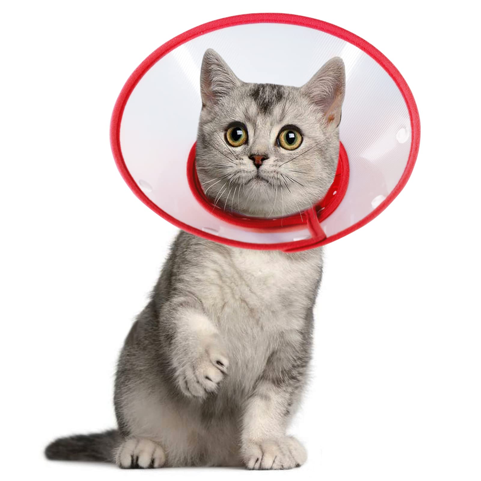 Vivifying Pet Cone, Adjustable Cat Cone, 5.8-8Inches Lightweight Elizabethan Collar for Puppies, Small Dogs and Cats (Red)