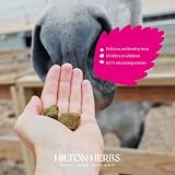 Hilton Herbs Herballs 2kg Horse Treats 100% Natural No Fillers UK view 2