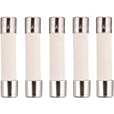 BOJACK Microwave Fuse 20a Ceramic Fuse 20 Amp 250V Slow-Blow Compatible and Universal Replacement for WB27X10388 and Other Microwaves