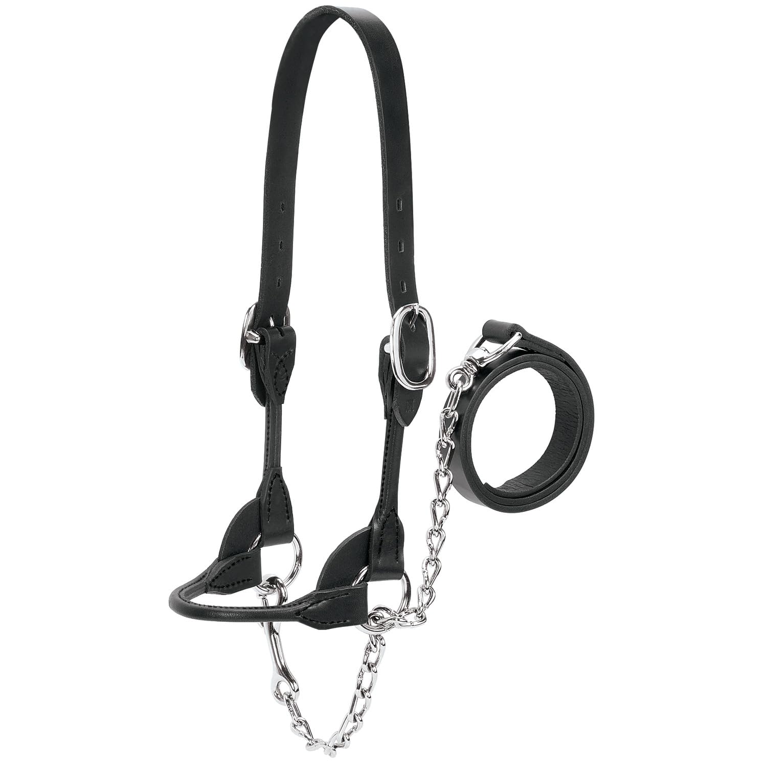 Weaver Leather Livestock Dairy/Beef Rounded Show Halter Black, Small